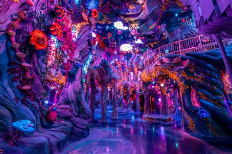 Meow Wolf Denver Reveals New Dance Party At Convergence Station Edm