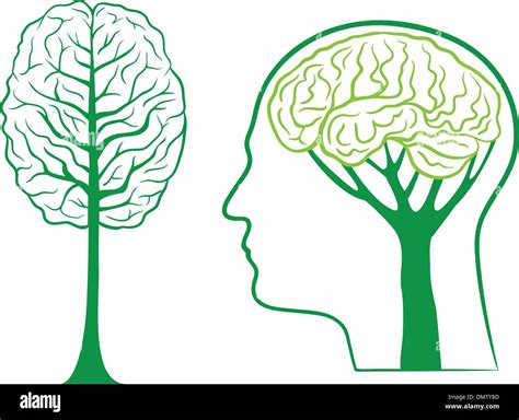 Green Brain Tree Vector Stock Vector Art And Illustration Vector Image