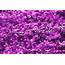 Free Stock Photo 11932 Purple Glitter  Freeimageslive