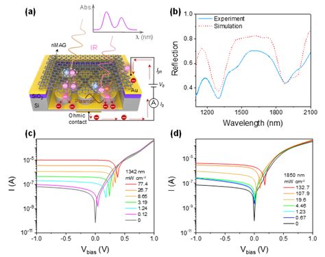 Plasmon Resonance Enhanced Graphene Nanofilm Based Dual Band Infrared