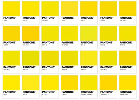 Yellow Pantone Pantone Colour