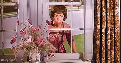 15 Laugh Out Loud Moments From Tvs Nosy Neighbor Mrs Kravitz Madly