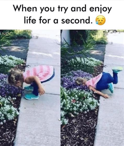 Funny Memes About Life For You Funny Daily