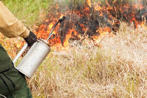 Mobile Firefighting Equipment Boosts Bushfire Resiliency Bundaberg Now