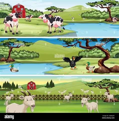 Farm Animals Living On Farm Stock Vector Image And Art Alamy
