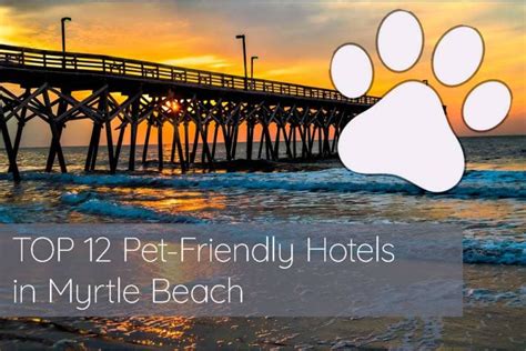 Top 12 Pet Friendly Hotels In Myrtle Beach In 2023