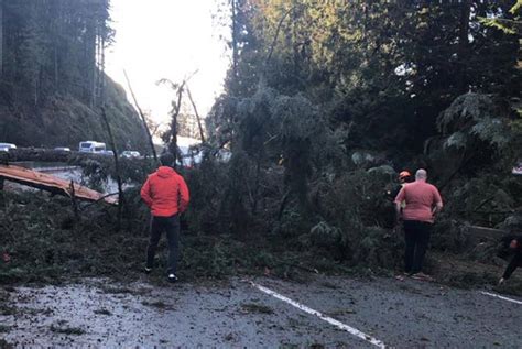 More Than 300000 Without Power At One Point Due To Bc Wind Storm