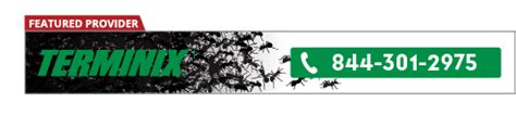 Lawrence pest control has been helping home and commercial property owners for over 35 years. Find the Best Pest Control Services - PestControlExperts.com