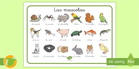 Tapiz De Vocabulario Las Mascotas Creat De Profesori