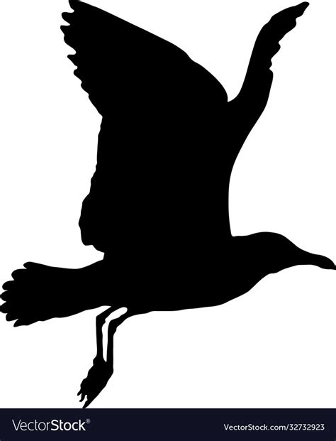 Seagull In Flight Silhouette Royalty Free Vector Image