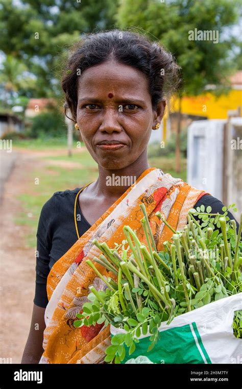 Indian Woman In The City Of Kochi Cochin In The Tamil Nadu Region Of