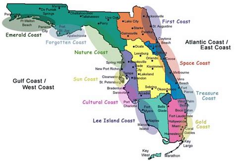 Florida Coasts Seeking Nature Near Floridas Coastline