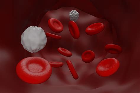 Low White Blood Cells Count Cardiovascular Disorders And Diseases