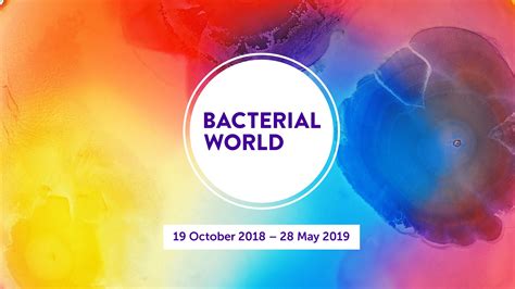 Bacterial World