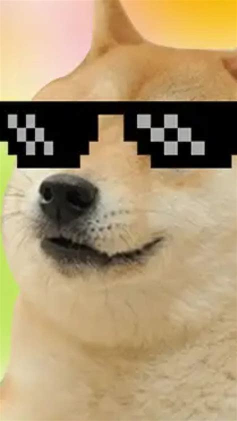 Doge Meme Iphone Wallpaper