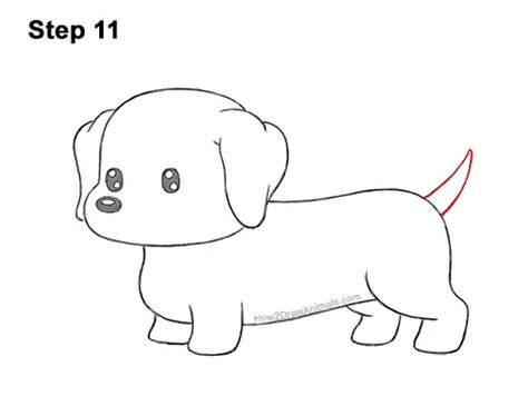 How To Draw A Dachshund Dog Cartoon Video And Step By Step Pictures