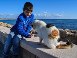 Terdapat tujuan, setiap komunikasi tersebut memiliki tujuan yang telah ditentukan. 6 Cara Kucing Berkomunikasi Dengan Manusia dan 7 Cara Anda ...