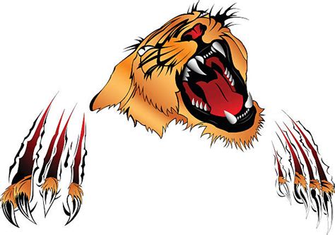 Tiger Claw Clip Art Vector Images And Illustrations Istock