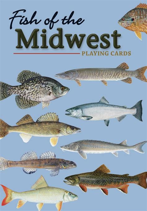 Fish Of Minnesota Field Guide 2nd Edition — Picnic Goods
