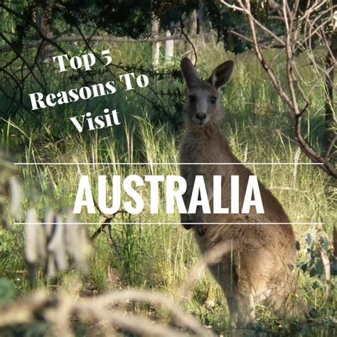 Top 5 Reasons To Visit Australia This Could Lead To Anywhere