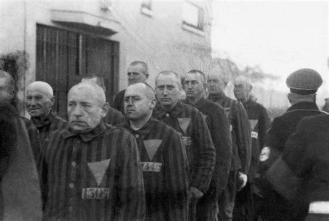 La Persecución De Los Homosexuales En La Alemania Nazi Auschwitz