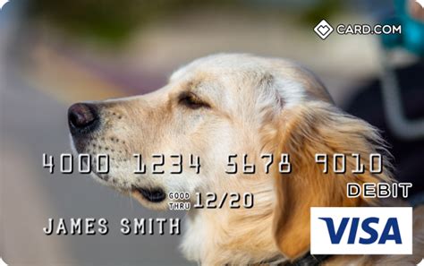 Know your pan card details online by pan name and number. Golden Retriever Design CARD.com Prepaid Visa® Card | CARD.com
