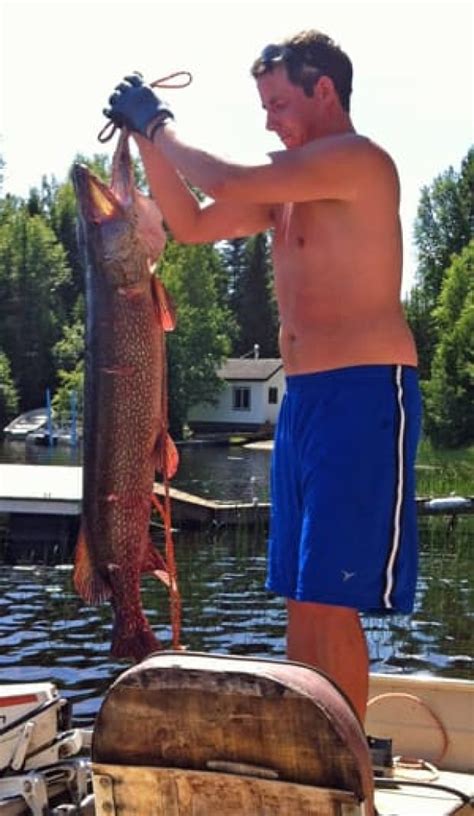 Thunder Bay Angler Surprised By Huge Pike Cbc News
