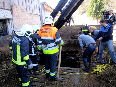 Ein ungewöhnlicher notruf erreicht die leitstelle der feuerwehr gelsenkirchen: Einsatz: Pferd in Jauchegrube, Furx | Ortsfeuerwehr ...