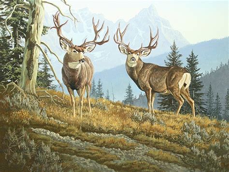 Sold Price Oil On Canvas Of Two Mule Deer Bucks In Mountains Hayden