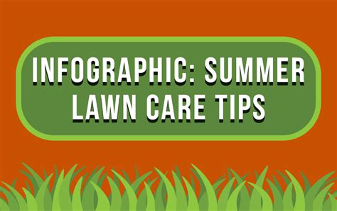 Summer Lawn Care Tips Infographic Experigreen