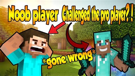 Noob Minecraft Player Vs Pro Minecraft Player Gone Wrong Youtube