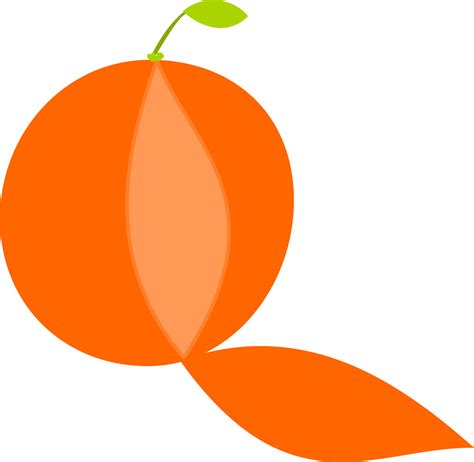 Orange Peel Clipart 20 Free Cliparts Download Images On Clipground 2023