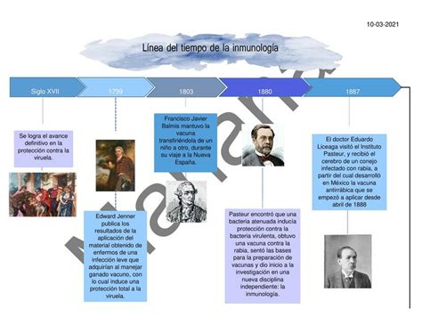 Linea Del Tiempo De La Inmunolog A Cl Nica Udocz Sexiz Pix