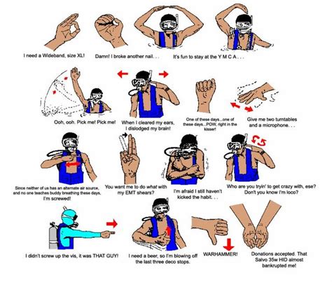 Funny Scuba Hand Signals Scuba Diving Quotes Diving