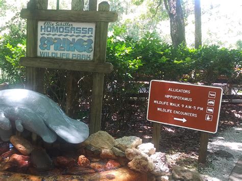 A Complete Guide To The Ellie Schiller Homosassa Springs Wildlife State