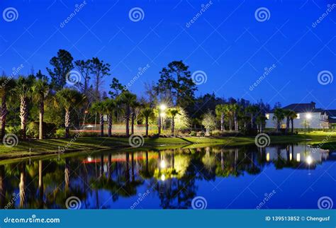 A Typical Florida House Stock Photo Image Of Palm Grassland 139513852