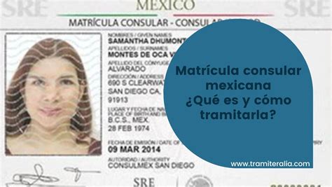 ️📄matrícula Consular Mexicana ¿qué Es Y Cómo Tramitarla