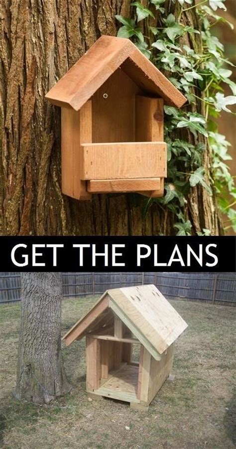 Choose from various styles and easily modify your floor plan. diy cardinal bird house plans | Bird house plans, Bird house, Cardinal bird house