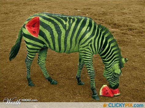 Freaky Photoshopped Animal Hybrids Funny Pinterest So Hungry