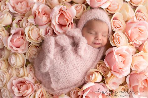 Newborn Girl Sessions And Flowers Fort Worth Newborn Photographer