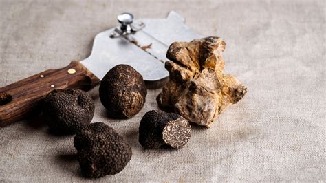 Heres Why Truffles Are So Expensive