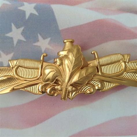 Us Navy Officer Surface Warfare Supply Corps Badge Usa Genuine