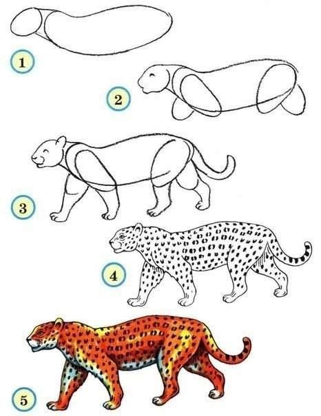Many artists are unsure how to bridge the gap between the many basic 'how to draw' books and the more advanced ones deal. How to draw a leopard | Drawing DIY | Pinterest | Zoos, Animal and Drawings