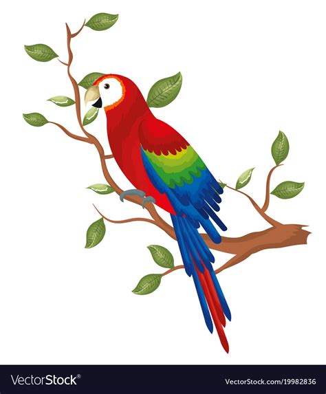Tropical Parrot In Branch Tree Royalty Free Vector Image