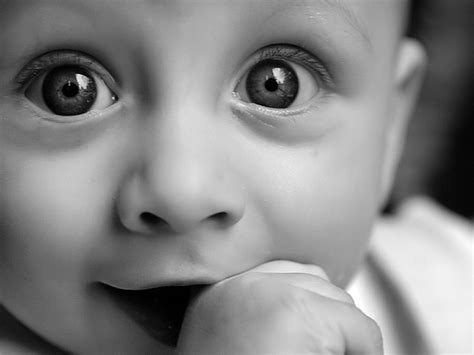 They examined vast number of pairs before they construct and have a comparison to the genuine babies of the pairs after the birth. Amazing cute baby cute eyes Wallpapers | HD Wallpapers ...