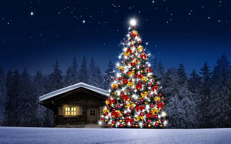 Images Nature Christmas Tree Snow Forests Night Time 3840x2400