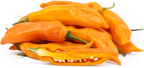 Aji Amarillo Chile Pepper Information Recipes And Facts