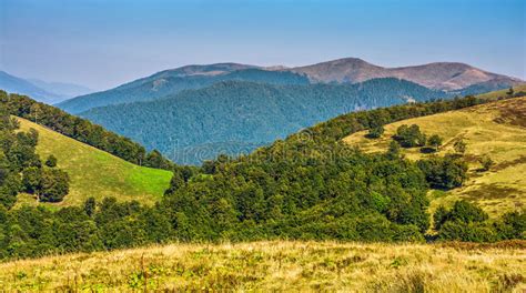 Summer Meadow On Hillside Of Mountain Range Stock Image Image Of