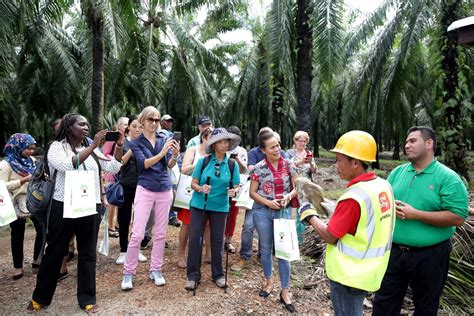 There is actually a beach on pulau carey. Dec 2018 - Visit to the Sime Darby Palm Oil Plantation ...