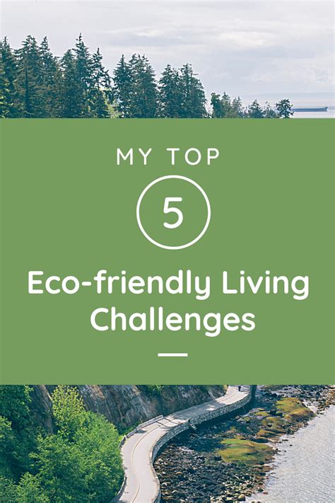 My Top 5 Eco Friendly Living Challenges Eco Pippa